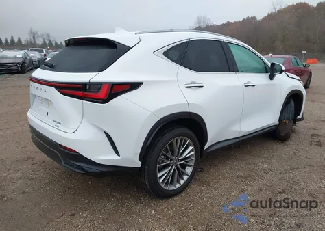 2026 Lexus Nx Nx 350 Luxury из США, поврежденный, VIN 2T2HGCEZ0TC102086